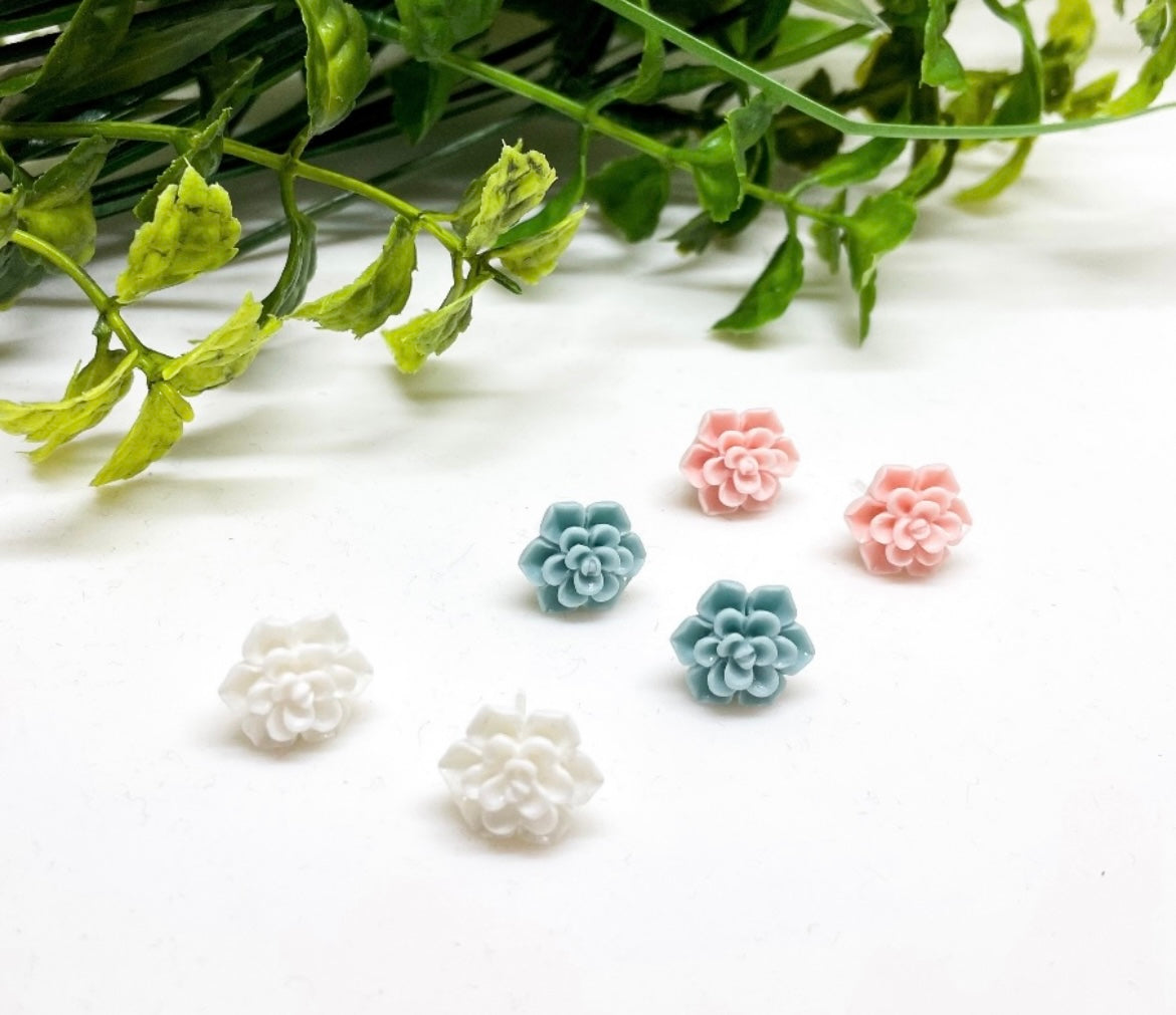Earrings - Succulents